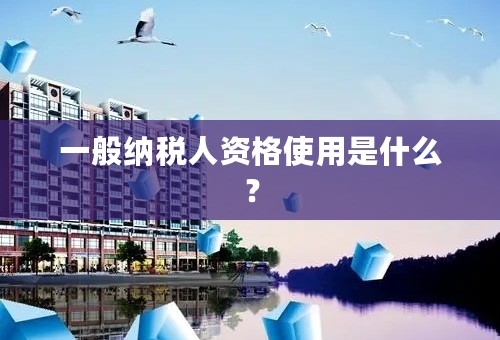 一般纳税人资格使用是什么？