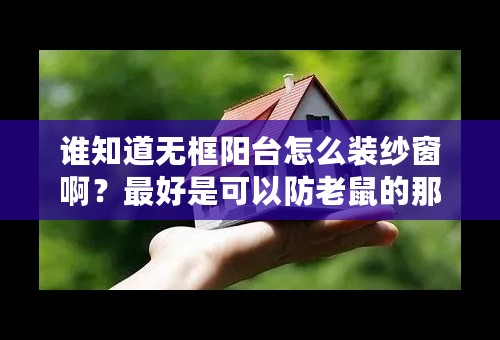 谁知道无框阳台怎么装纱窗啊？最好是可以防老鼠的那种。