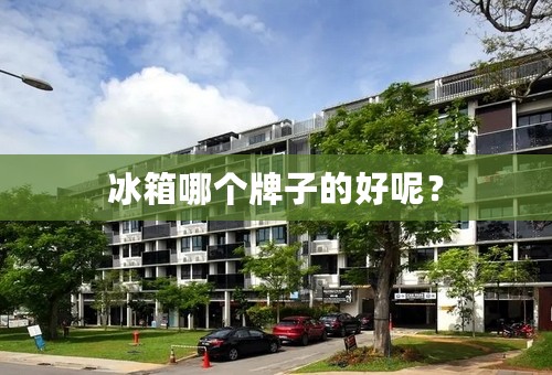 冰箱哪个牌子的好呢？