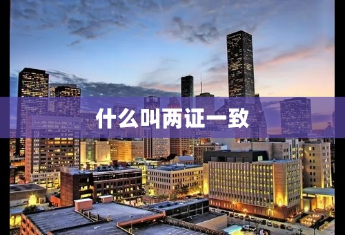 什么叫两证一致