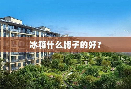 冰箱什么牌子的好？