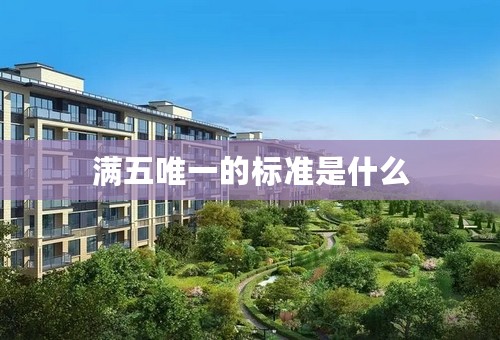 满五唯一的标准是什么