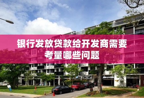 银行发放贷款给开发商需要考量哪些问题