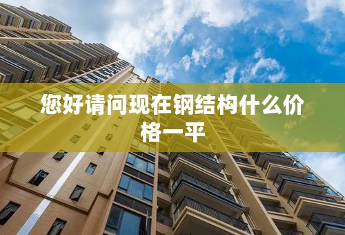 您好请问现在钢结构什么价格一平