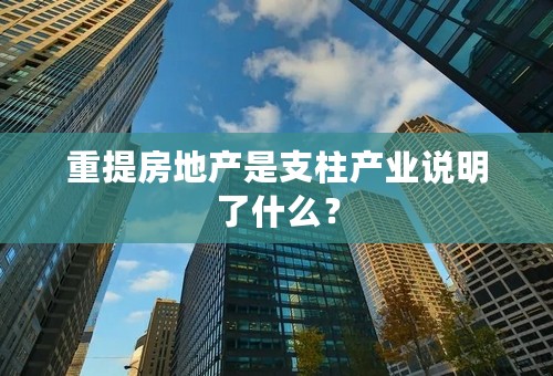 重提房地产是支柱产业说明了什么？
