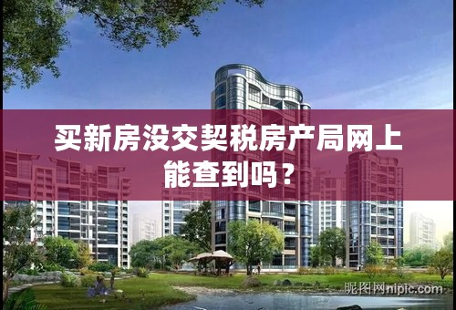 买新房没交契税房产局网上能查到吗？