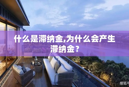 什么是滞纳金,为什么会产生滞纳金？
