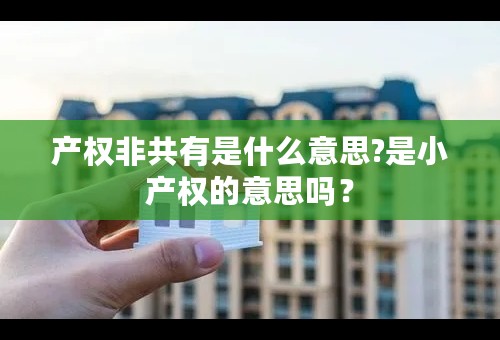 产权非共有是什么意思?是小产权的意思吗？
