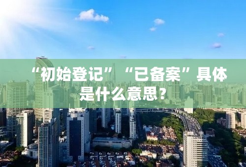 “初始登记”“已备案”具体是什么意思？