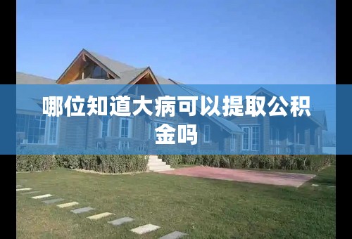 哪位知道大病可以提取公积金吗