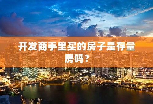 开发商手里买的房子是存量房吗？