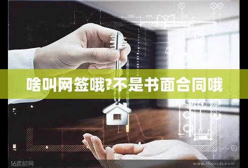 啥叫网签哦?不是书面合同哦