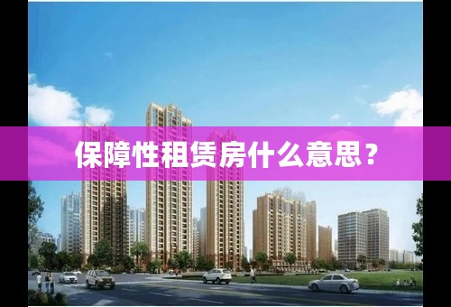 保障性租赁房什么意思？
