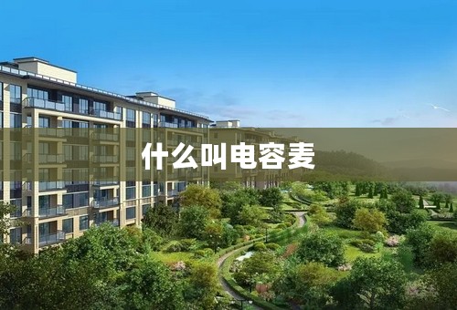 什么叫电容麦