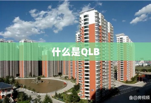 什么是QLB