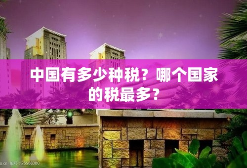 中国有多少种税？哪个国家的税最多？