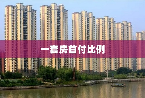 一套房首付比例
