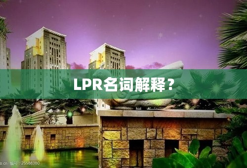 LPR名词解释？