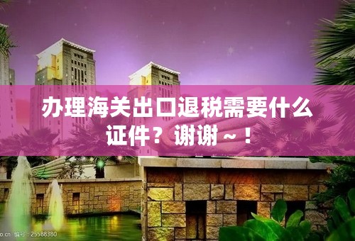 办理海关出口退税需要什么证件？谢谢～！