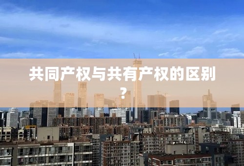 共同产权与共有产权的区别？