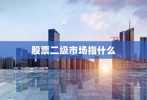 股票二级市场指什么