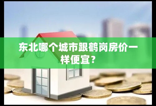 东北哪个城市跟鹤岗房价一样便宜？