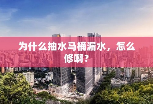 为什么抽水马桶漏水，怎么修啊？