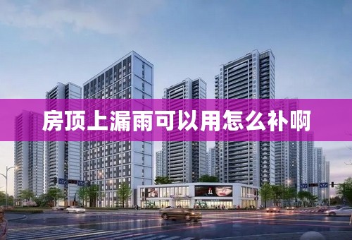 房顶上漏雨可以用怎么补啊