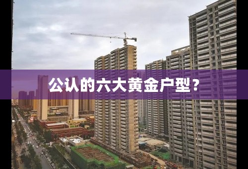 公认的六大黄金户型？