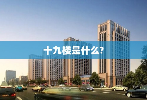 十九楼是什么?