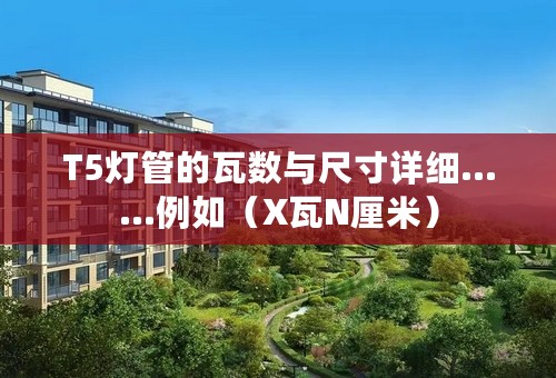 T5灯管的瓦数与尺寸详细……例如（X瓦N厘米）