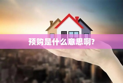 预购是什么意思啊?