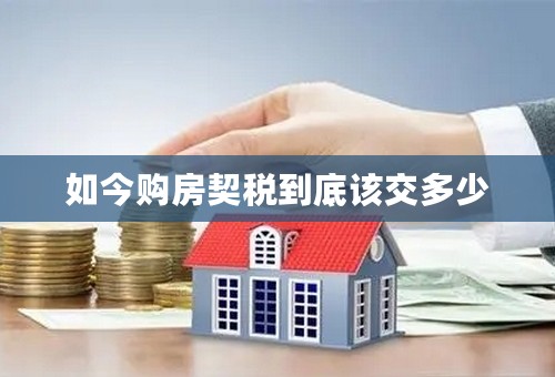 如今购房契税到底该交多少