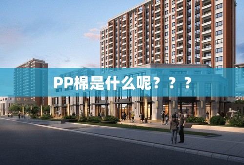PP棉是什么呢？？？