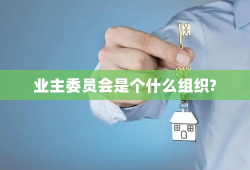 业主委员会是个什么组织?