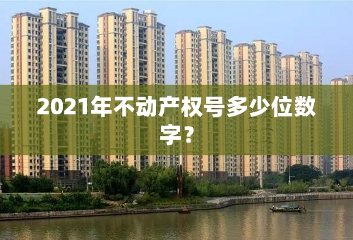2021年不动产权号多少位数字？