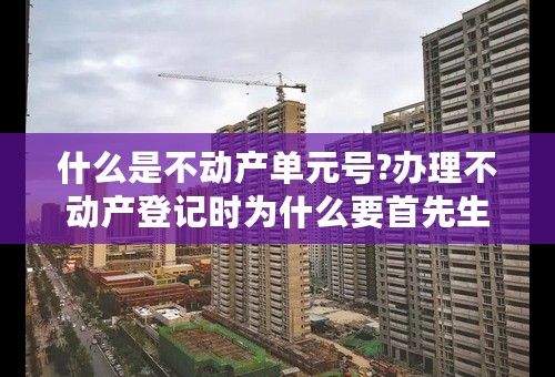 什么是不动产单元号?办理不动产登记时为什么要首先生成不动产单元号？