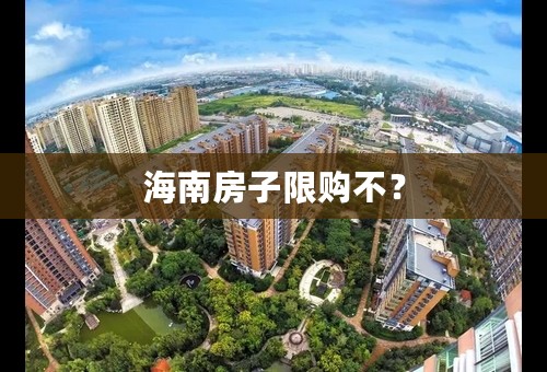 海南房子限购不？