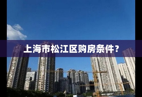 上海市松江区购房条件？