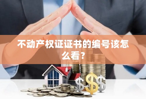 不动产权证证书的编号该怎么看？
