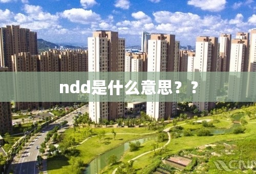 ndd是什么意思？？