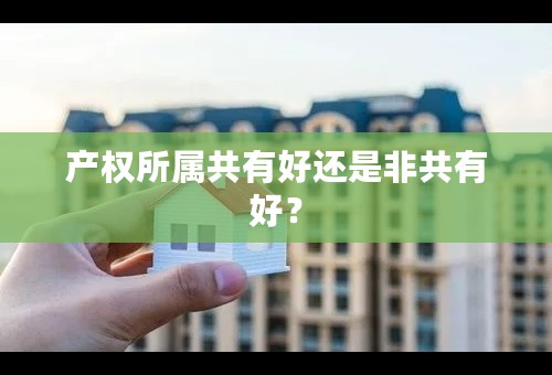 产权所属共有好还是非共有好？