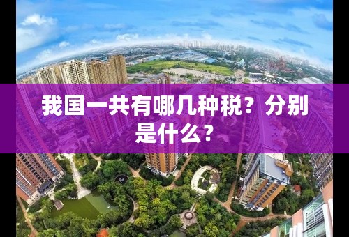 我国一共有哪几种税？分别是什么？