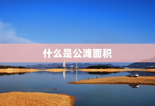 什么是公滩面积
