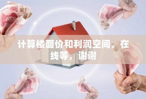 计算楼面价和利润空间，在线等，谢谢