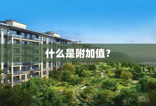 什么是附加值？