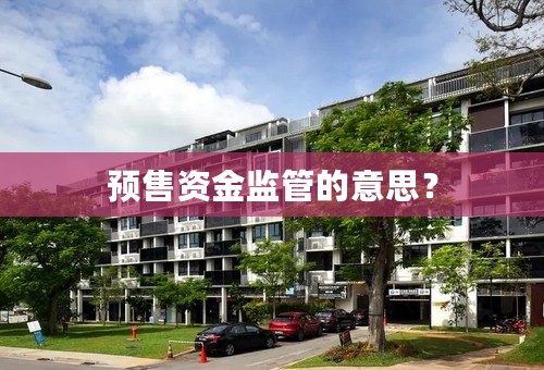 预售资金监管的意思？
