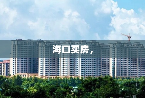 海口买房，