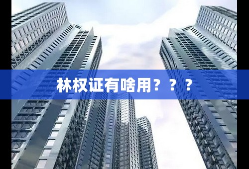 林权证有啥用？？？