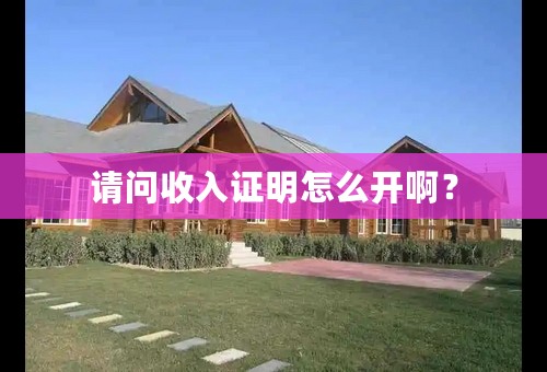 请问收入证明怎么开啊？